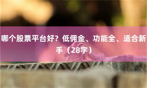 哪个股票平台好？低佣金、功能全、适合新手（28字）